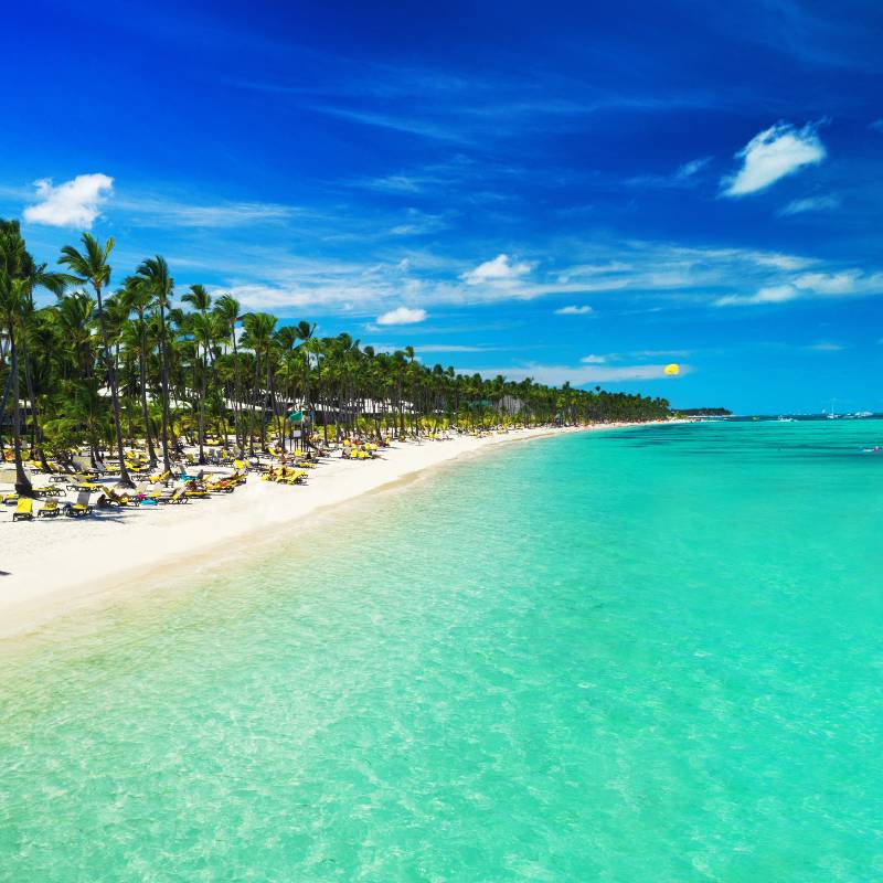 Caribe Fascinosa I
